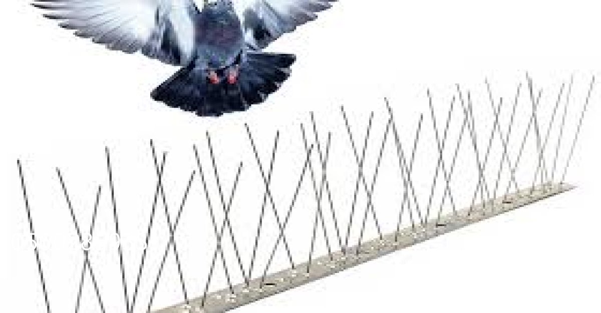 طارد حمام شفاف لا يؤثر على مظهر الواجهة الخارجية