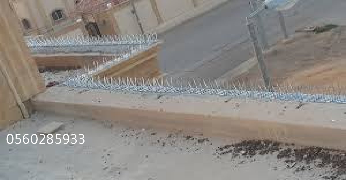 طارد حمام فعال يمنع الطيور من التوقف على الأسطح