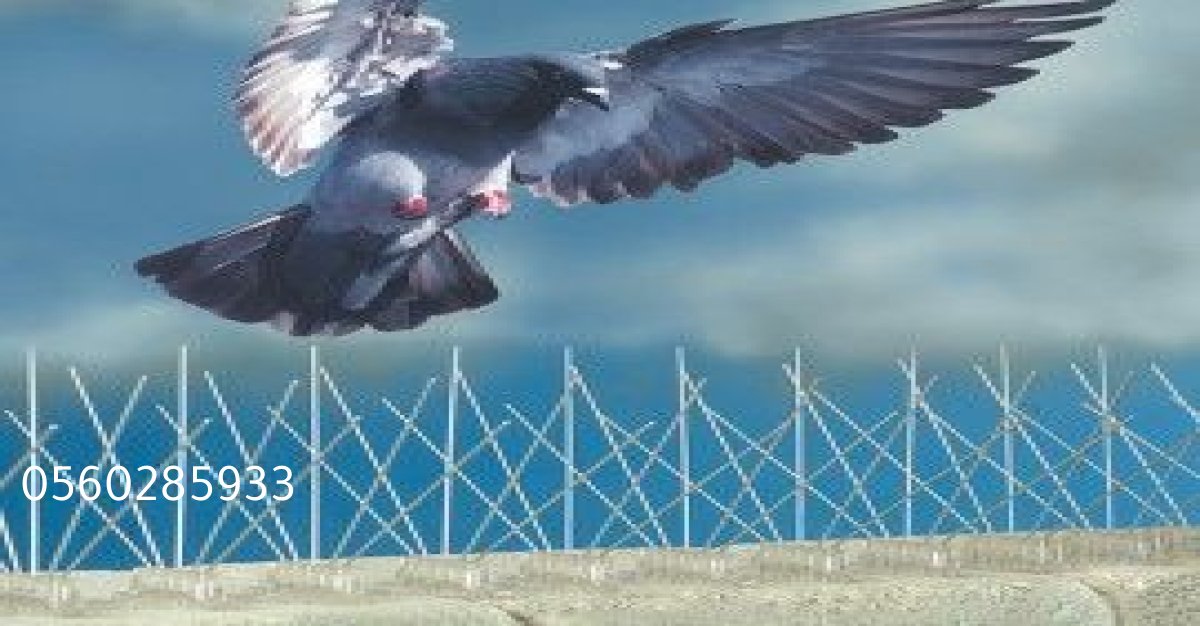طارد حمام معدني مثبت على سور لمنع وقوف الطيور