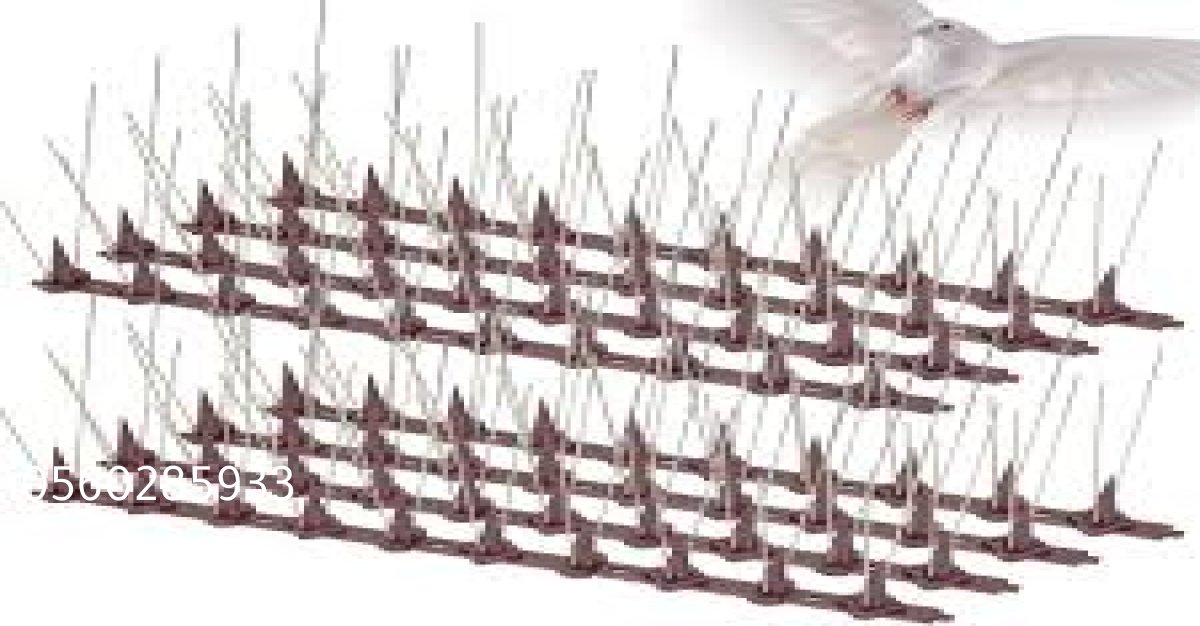 مسامير طارد حمام مصنوعة من الستانلس ستيل المقاوم